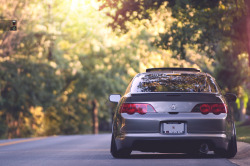 streetstance:  street stance  –socialq