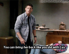 menthol-drops-and-angel-wings:  supernaturalapocalypse:  lost-and-fallen-angel: