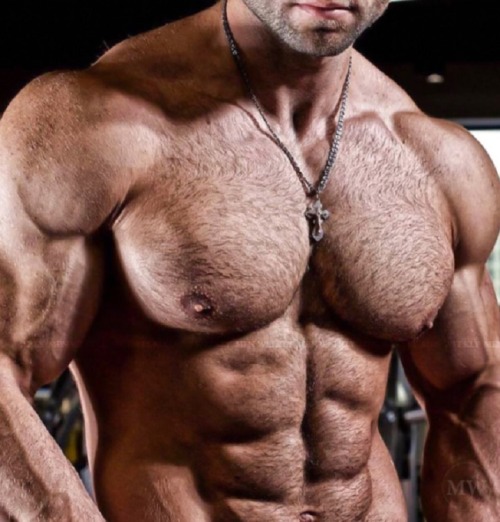 Packed Pecs