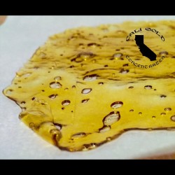 caligoldconcentrates:  Raskals Fire OG #shatter #raskalsfireog