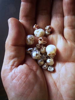 asylum-art-2:  Skull Pearls Jewelry  by Shinji Nakaba Shinji