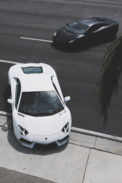 envyavenue:  Ying & Yang by Prestige Imports