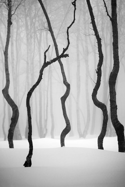 ponderation:  Winter in the Ore mountains II by Daniel Řeřicha