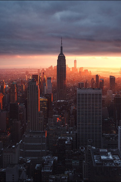 earthyday:  New York City  by Renaud Julian 