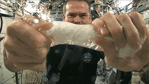 un-punk:  lolita-rasputina:  fencehopping:  Wringing out a washcloth in space  He looks so upset  That is fucked up 