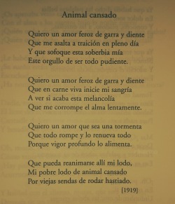 el-jujeniodeletras:  Alfonsina Storni. Animal cansado. Poesía