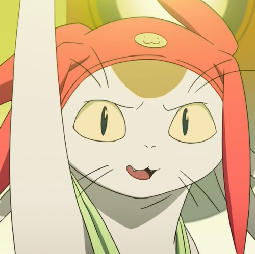 sergeantsargemcfly:  most of my harddrive is just meow screencaps tbh