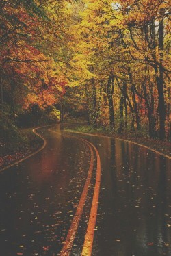 moon-sylph:  yes-lil-angel:  Beautiful Autumn on We Heart It.