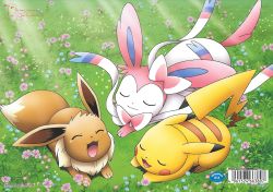 pokescans:  Pikachu and Eevee Friends coloring book back cover