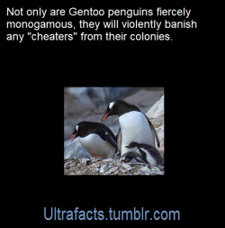 ultrafacts:  Source: [x]Follow Ultrafacts for more facts!