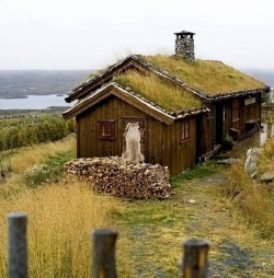forestofthenorth:  wood house grass roof on We Heart It. 