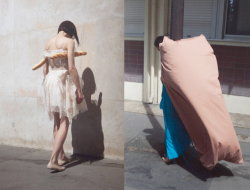 ortut:  Viviane Sassen