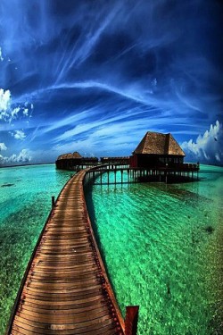 South Pacific dreamin’ (Bora Bora)