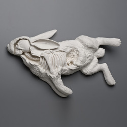 strangebiology:  Sculptures by Kate MacDowell.