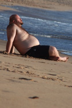 bigpigone:  Oso al sol