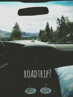 bitrates:    🍃 Nature Blog     We should have a road trip