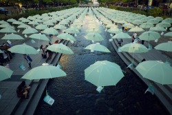 daebak-ymk:  Umbrellas over Cheonggyecheon, Seoul, South Korea