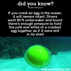 did-you-kno:  Watch the video and see more pictures here ►►►►►►