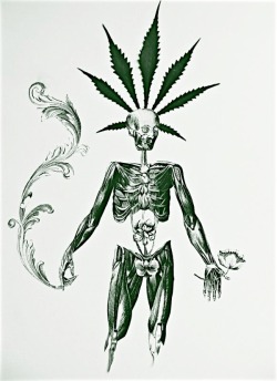 Cannabis Loverz