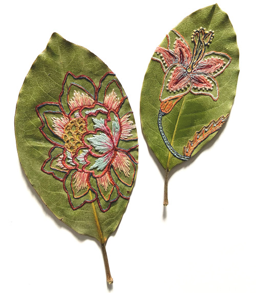 itscolossal:Vibrant Botanic Embroideries Embellish the Dried