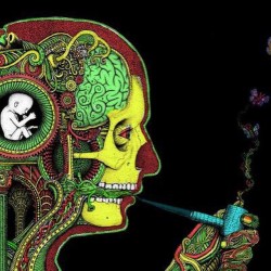 thebootywarrior97:  #fetus#pipe#brains#pyschology#mindpower#nature