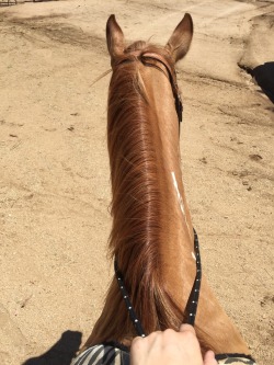 c-o-w-b-o-y-takemeaway:  Went riding on my favorite girl today