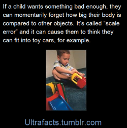 ultrafacts:(Fact Source) Follow Ultrafacts for more factsIn developmental