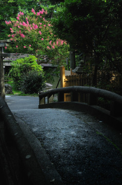 nok0706:  Kyoto Gyoen, Japan 京都御苑  (via GANREF | 京都御苑の百日紅)