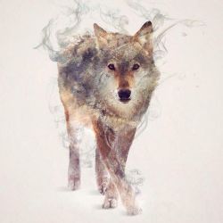 the-awesome-quotes:    Wild Animals, Smoke And Nature Merged