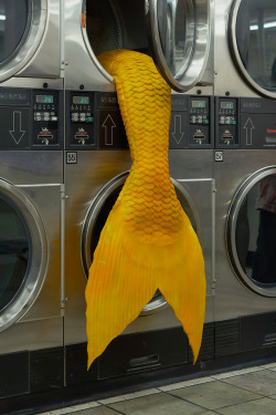 itscolossal:  Mysterious Mermaid Tails Lodged in Laundromat Machines