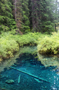 bright-witch:    ◈ The Wellspring, photography by Michelle