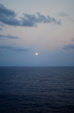 land-city:  ''Caribbean Moonrise'' by Evan Gray | Flickr