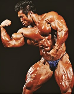 worldbodybuilders:  Hidetada Yamagishi.