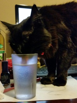 Umm, excuse me, but that was my water.. haha