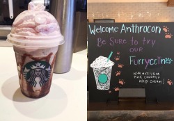 aceofheartsfox:Furryccino tho. I love Anthrocon <3omg I wanna