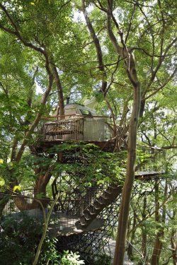 wordsnquotes:  thedesigndome:Japan’s Largest Treehouse Was