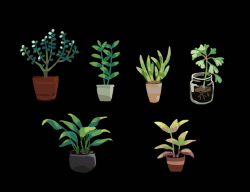 tomscholes:  happydorid:  painting potted plants  In absolute