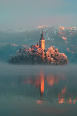 bluepueblo:  Frosty, Lake Bled, Slovenia photo via funnerl