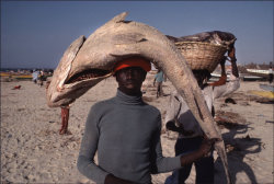 dirtycartunes:Saint Louis, Sénégal, 1980 | Bruno Barbey