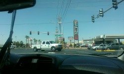 Princess got a new car. Looking out the windshield. So proud