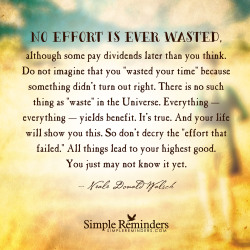 mysimplereminders:  “No effort is ever wasted, although some