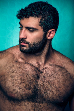superdirty2-hairy-dudes:Bearded and chest fur combo 070