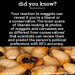 did-you-kno:  Your reaction to maggots can reveal if you’re