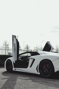 classyhustler:  Aventador Roadster | photographer