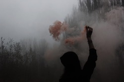 pacifixsun