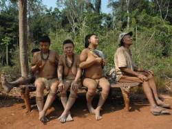 The last Akuntsu, via Survival international.Brazil’s Rondônia state is a power house of ranching and agriculture which is fuelling the country’s economic growth.In the middle of the endless yellow fields of soya and cattle ranches, there is a tiny