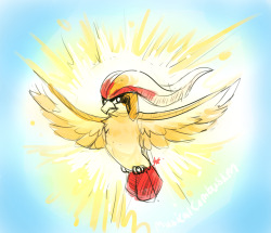 musicalcombusken:  have you accepted pidgeot as your lord and