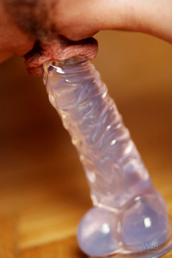 beyondpornblog:  Shared from www.edgeofporn.com