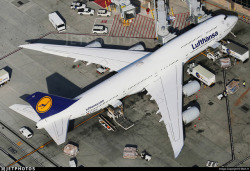 aviationgreats:  Top down view of a Lufthansa Boeing 747-8i at