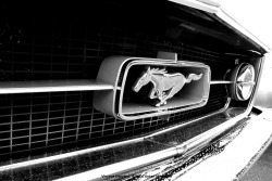 autodantan:  Ford Mustang